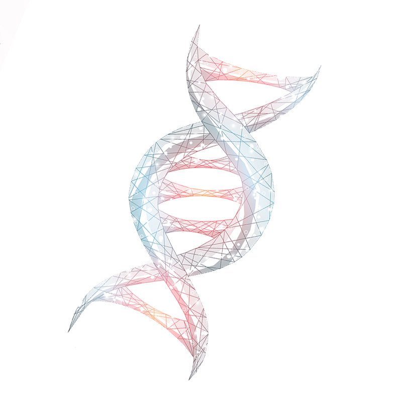 DNA Concentration & Purification